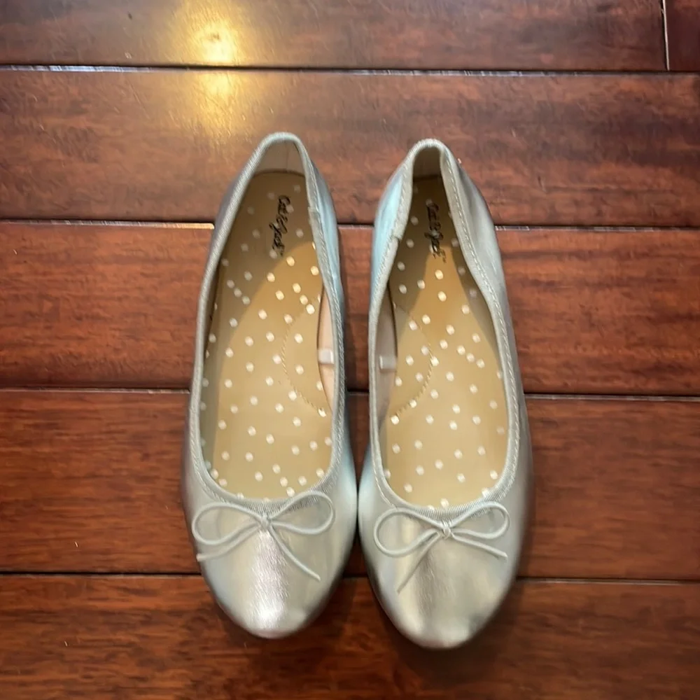 EUC Silver Ballerina Flats